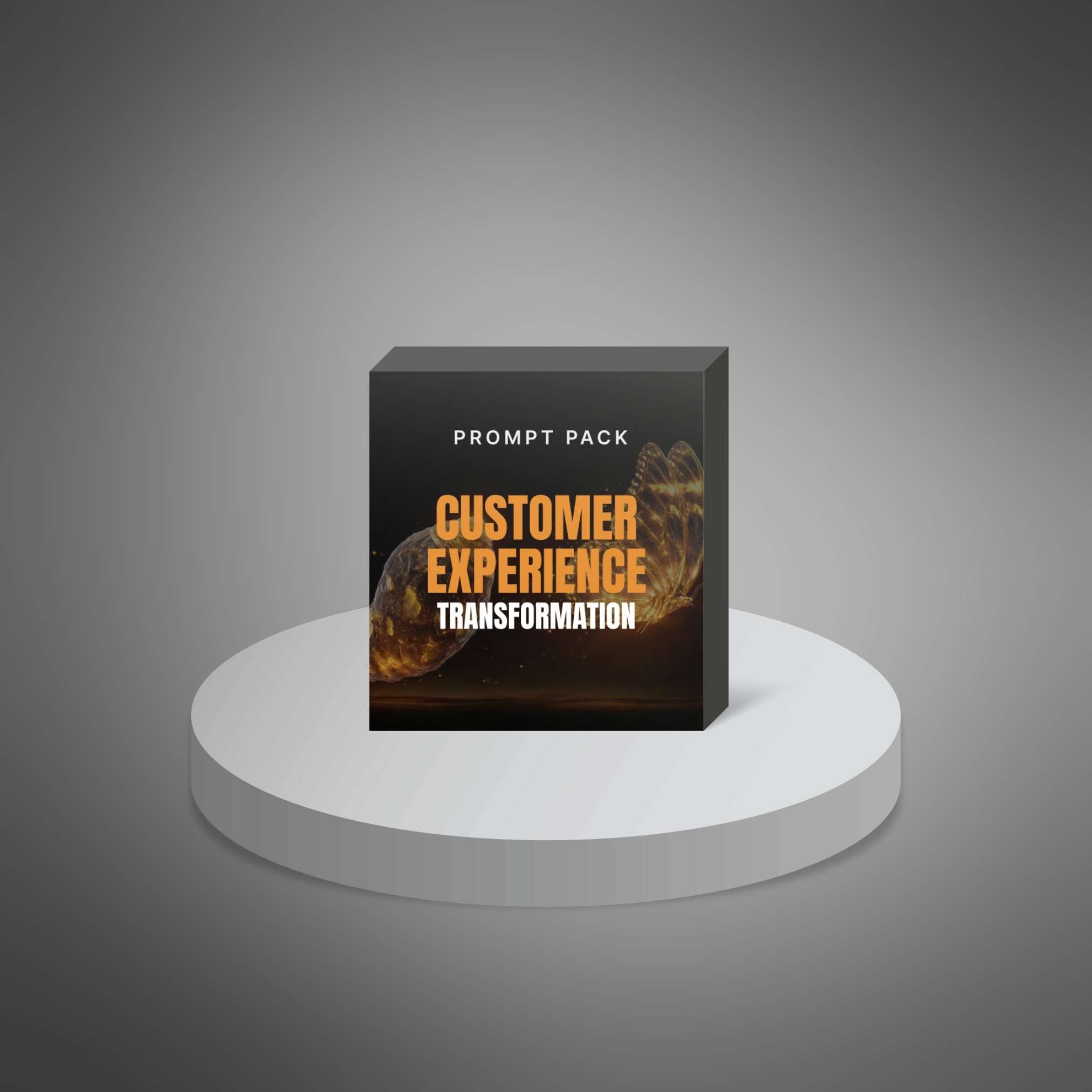 Customer-Experience-Transformation---Prompts1 Customer Experience Transformation - Image 1